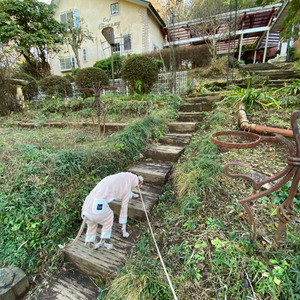 房総半島の内房エリアに位置する千葉県君津市にある静かな森の中に佇む隠れ家的ガーデン＆ドッグカフェ「シヴェルニー」さんのガーデン