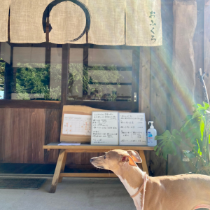 房総半島の内房エリアに位置する千葉県富津市にある朝7時から美味しいお魚定食、ジビエカレーが食べられる朝ごはん屋さん「おふくろ」さんの店内席入り口